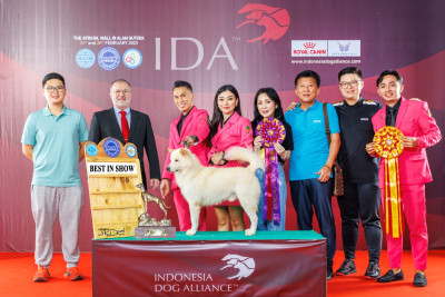 Best In Show Indonesia Dog Alliance 2023